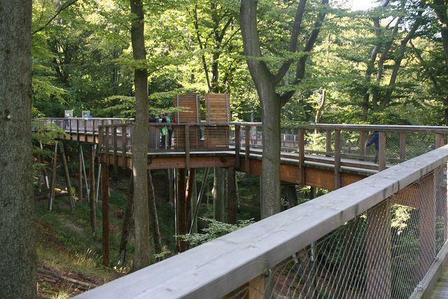 Treetop path - Natural Heritage Centre
