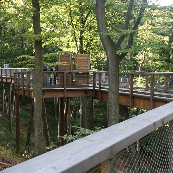 Baumwipfelpfad - Naturerbezentrum