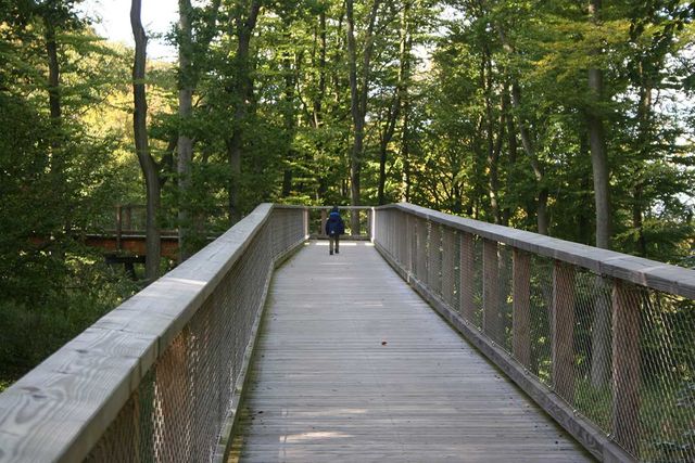 Baumwipfelpfad - Naturerbezentrum