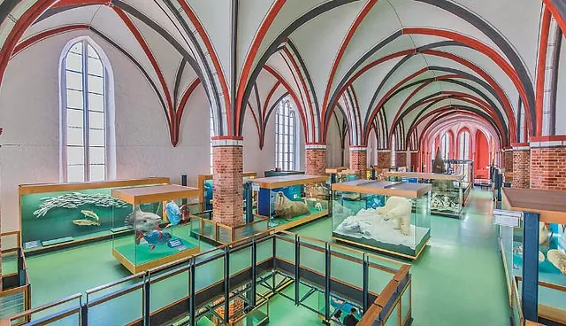 Meeresmuseum