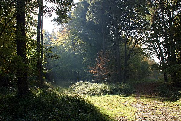 Impressionen vom Campingplatz