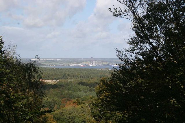 Treetop path - Natural Heritage Centre