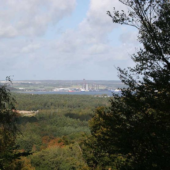 Baumwipfelpfad - Naturerbezentrum